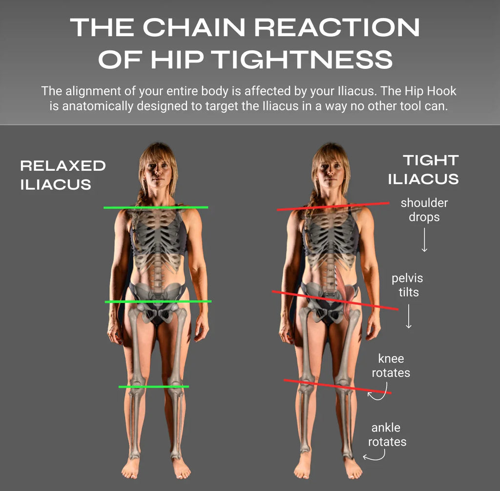 Full Body System